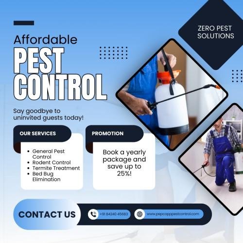 Blue-and-White-Modern-Affordable-Pest-Control-Instagram-Feed-Ad
